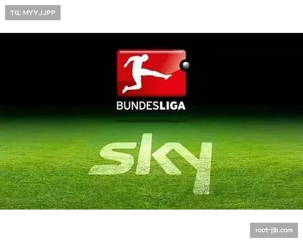 DFL报告:媒体版权收入成德国俱乐部重要经济支柱