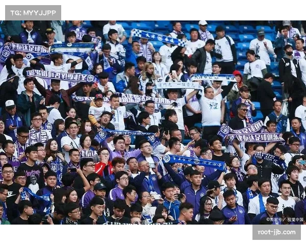 2025赛季客场表现统计：浙江队客场胜率不足25%，主场优势明显